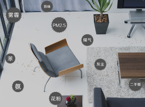 1563176638138437.jpg 1559545980(1).jpg